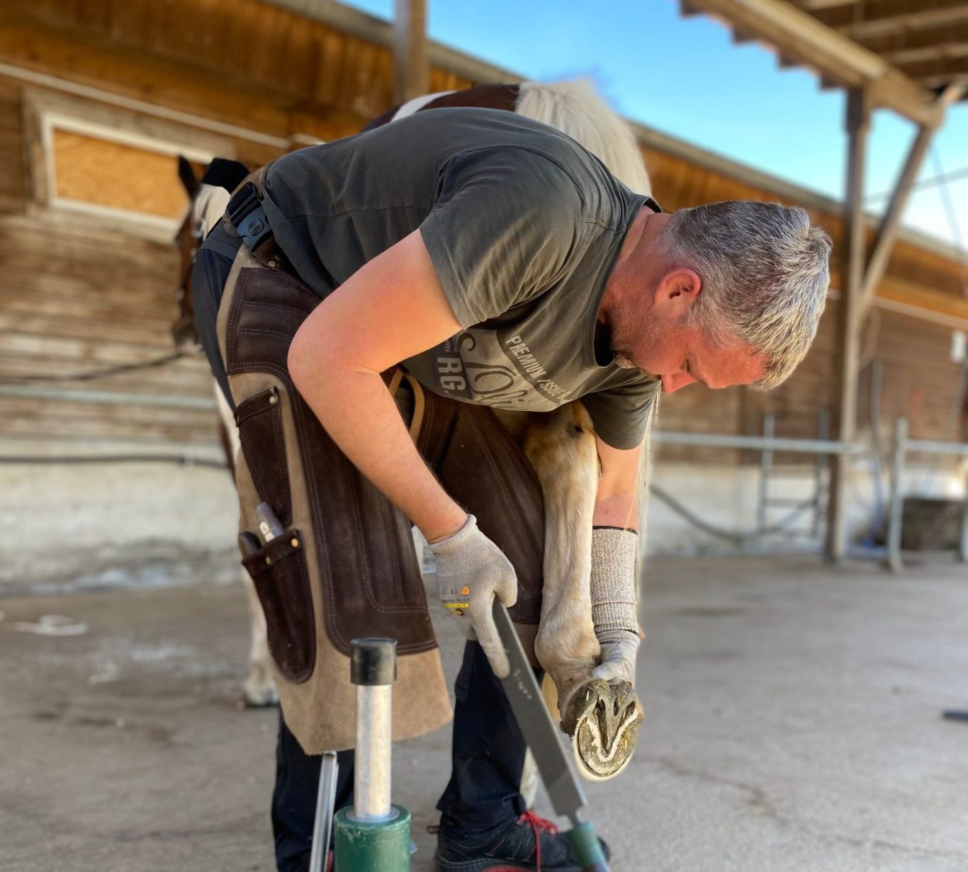 Hufpflege in Göttingen Natural Hoofcare - der sanfte Weg zum gesunden Huf